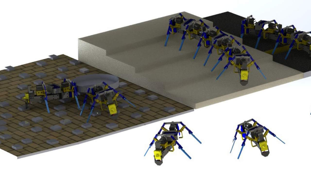 Współpracujące ze sobą robotyczne mrówki